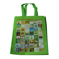 楚雄LB11覆膜无纺布广告袋